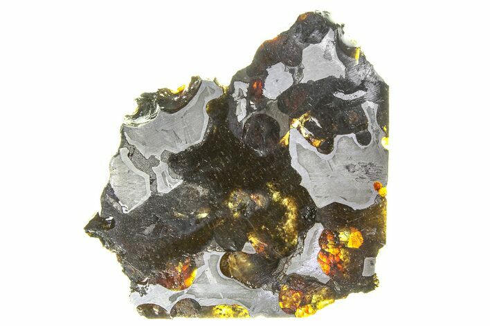 Brenham Pallasite Meteorite ( g) Slice - Kansas #294802